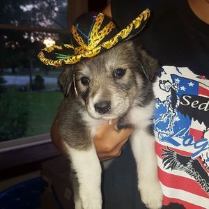 Meet your Posher, Tamara